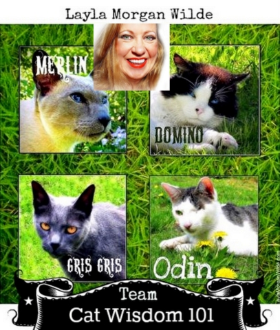 team-cat wisdom 101-Layla Morgan Wilde-cat behaviorist team-cat wisdom 101-Layla Morgan Wilde-cat behaviorist