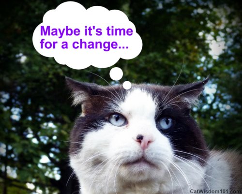 cat-quote-time-for-change-1.jpg