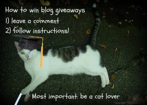 class-tutorial-blog-giveaway-cats-winning