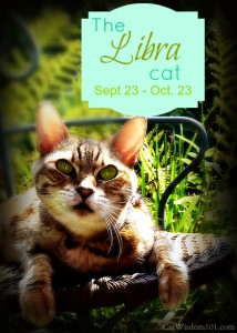 Bengal-cat-astrology-astro kitty-libra