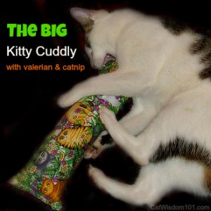 Kitty cuddly-catnip-toy-cats-giveaway