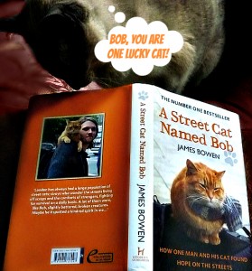 a street cat named bob-book review-giveaway-james bowen