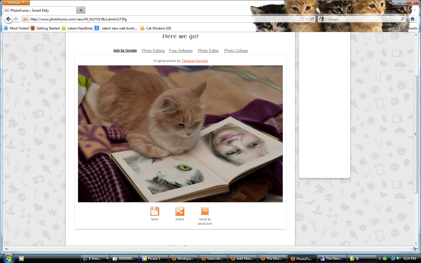 cats-think-human-behavior-vet 101-behaviorist