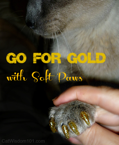 http://catwisdom101.com/wp-content/uploads/2012/09/soft-claws-cat-gold-merlin-review-giveaway-cat-wisdom-101.jpg