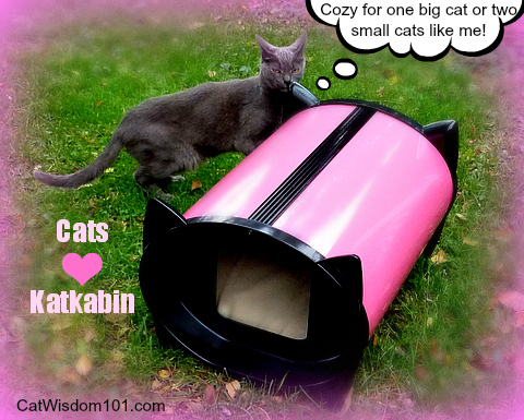 katkabin-outdoor-cat-shelter-bed