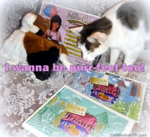 I wanna be purrfect-review-giveaway-book-children's-cats-giveaway