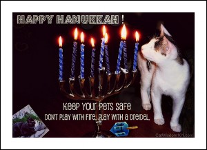 play it safe-holiday pet hazards-hanukkah-cat-dreidel-quote
