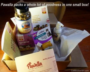 pawalla-mini-cats-box-subscription