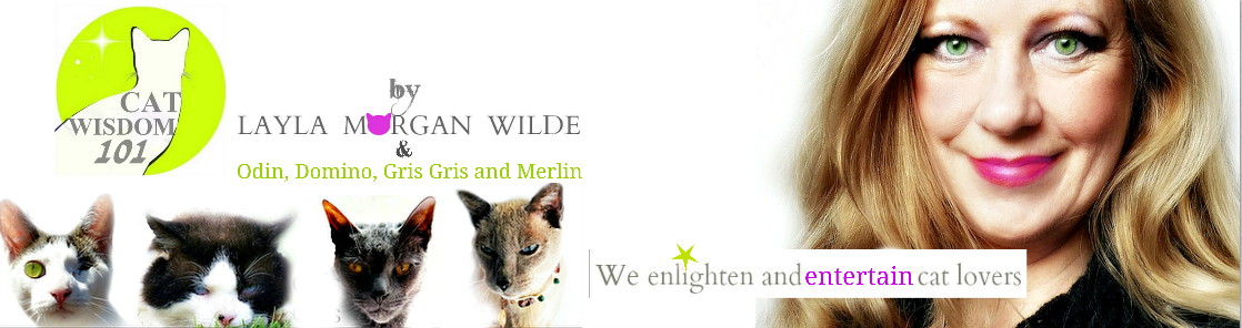 Cat Wisdom 101