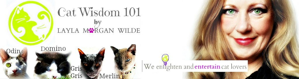 Cat Wisdom 101