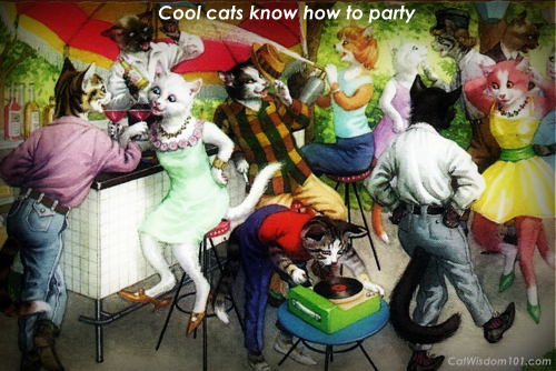 outdoor cat party