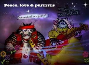 veterinary-pot for pets-cat-hippies-medical marijuana