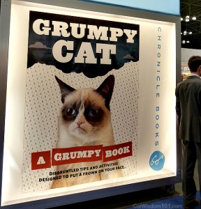 grumpy cat-chronicle books-BEA-cat book