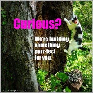 curious-cat-wisdom-101-tree-quote