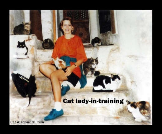 Layla Morgan Wilde-cats-bussana vecchia-italy