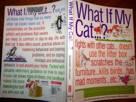 What-If-My-Cat 