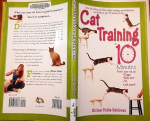 Cat-training-in-10-Minutes-book
