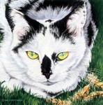 Wendy-Christensen-cat-portrait-art