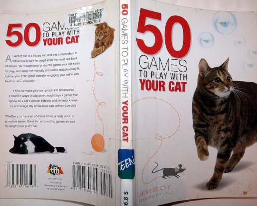 50-cat-games-book-strachan