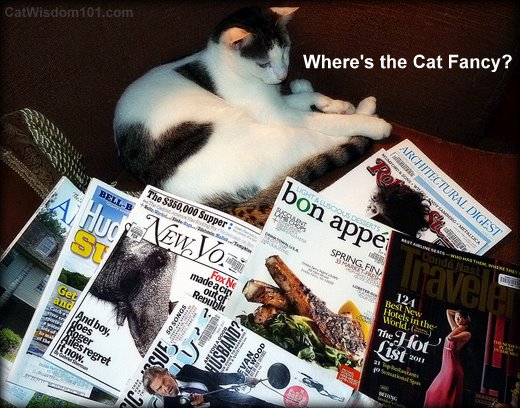 cats-reading-magazines-cat fancy