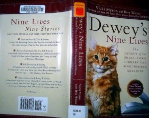 dewey-library-cat-nine-lives-review