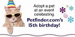petfinder-15th- birthday
