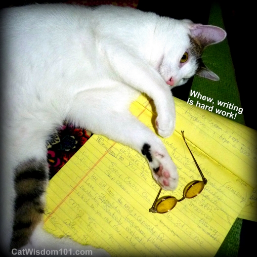 writing-cats-humor-wisdom-odin-cute