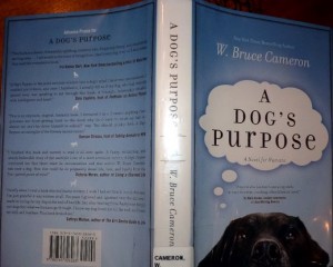 a-dogs-purpose-book-cover-cameron