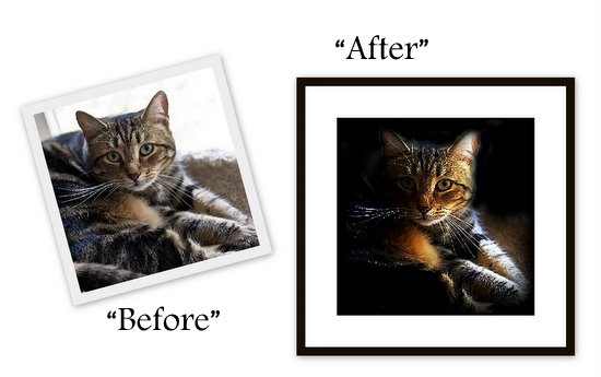 before and after-cat-phoot-editing-contest