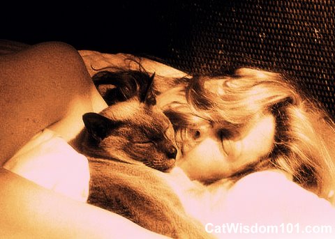 cat-woman-sleeping-bed