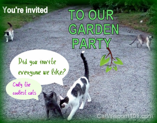 cats-garden-party-invitation