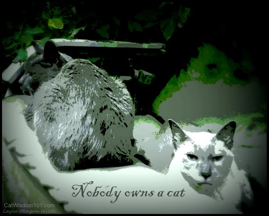 nobody-owns-a-cat-quote-art