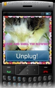 stop-smell-flowers-unplug-cat-cute-cell phone-quote