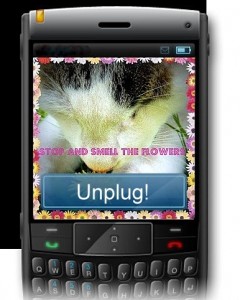 stop-smell-flowers-unplug-cat-cute-cell phone