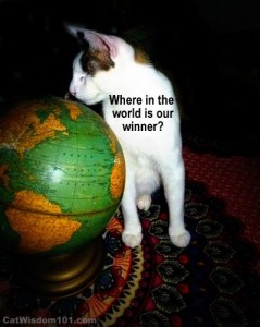 winner-cute-cat-globe-where in the world