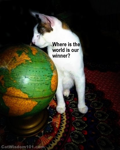 cat globe muzzle