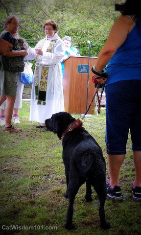 blessing of the animals-hartsdale