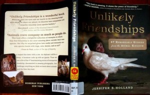 book -unlikely friendships