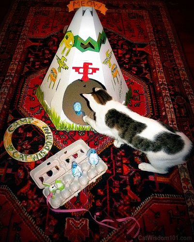 cat-cardboard-toys-house-box-tipi