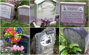 cat-gravestones-cemetery-hartsdale