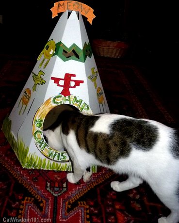 cat-tipi-teepee-loyal luxe