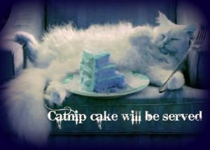 catnip birthday_cake
