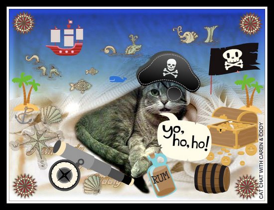 cody-cat-chat-pirate