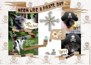 meow-pirate-day-cats