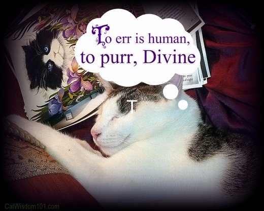 to err is human, to purr divine