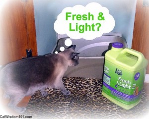 Fresh & Light litter-cat wisdom 101