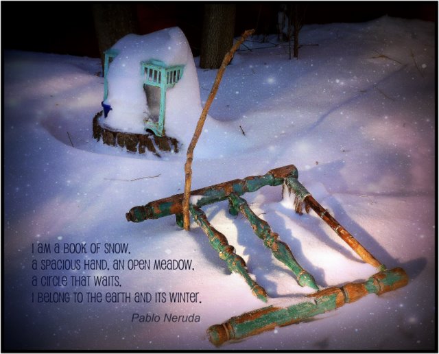 Pablo neruda-poem-quote-snow-cat grave