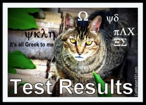 cat-vet-test-results