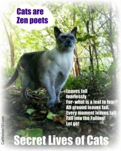 cat-zen-poets-cat wisdom101