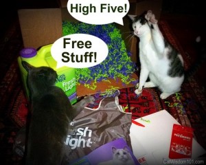 cat's pride-contest-fresh & clean-high five-cats-